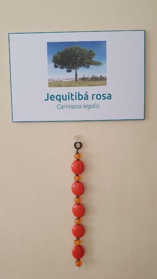Hostel Sangha Urbana - Hostel, Yoga & Meditacao Rio de Janeiro